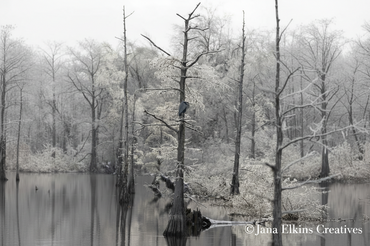 Icy Heron