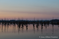 Twilight on Black Bayou