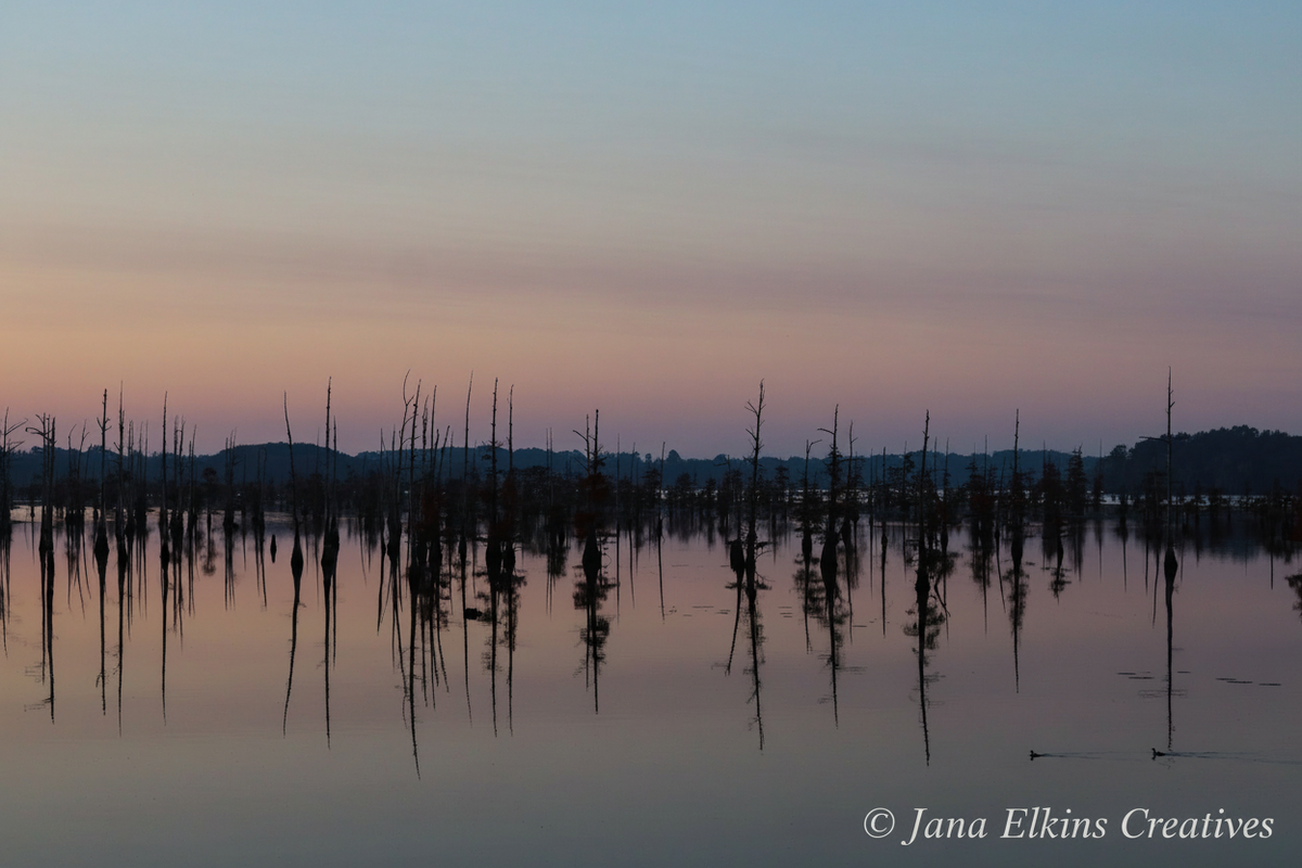 Twilight on Black Bayou